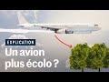 Planter des arbres pour compenser l'avion ?