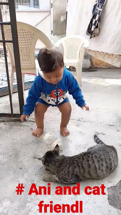 @ani nurhayani/ani cat friend