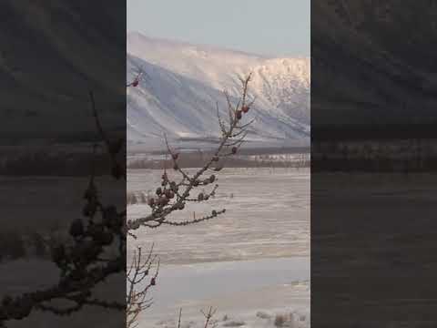 📍Национальный парк «Полярный Урал» — одно из самых живописных мест нашей страны #ямал #крайнийсевер
