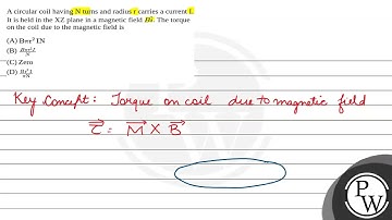 A circular coil having N turns and radius r carries a current I. It is held in the XZ plane in a....
