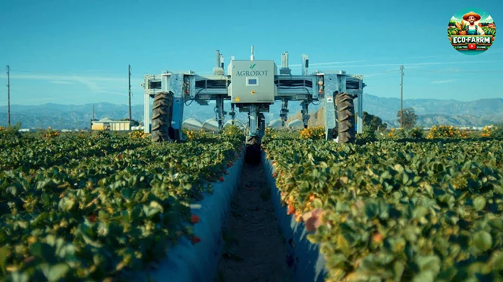 Modern Robots Help Farmers Harvest Millions of Acres Of Farmland Every Day - EcoFarm #farm #ecofarm