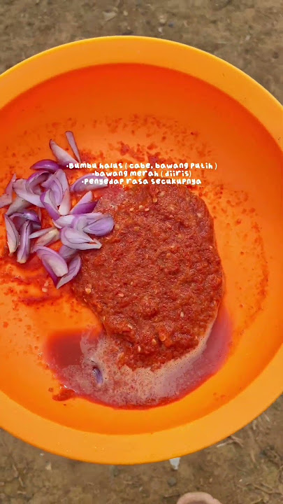 Big Squid Makas #cooking #adayinmylife #mukbang #minivlog