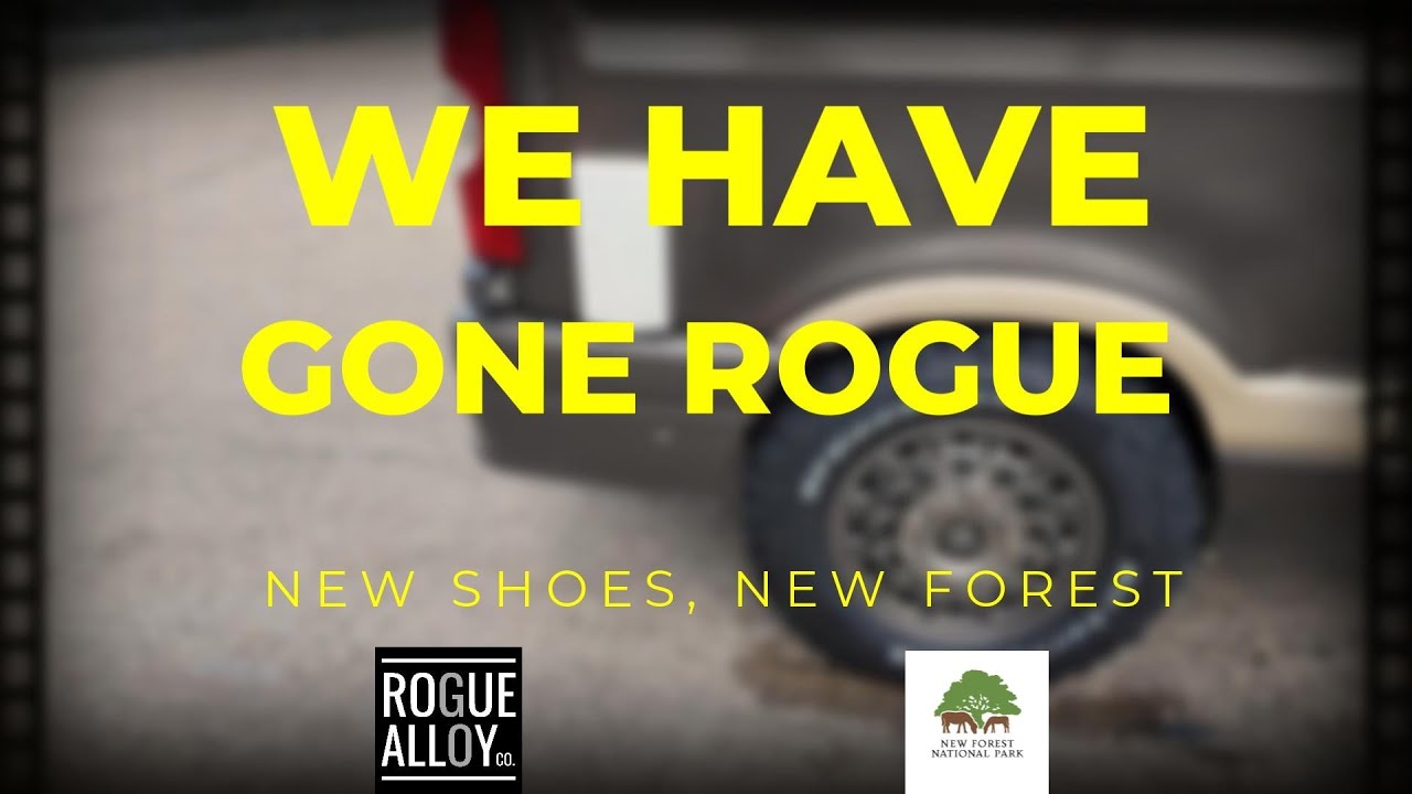 We have gone ROGUE 🚐 New shoes 👞👞 New Forest 🐴🐮🦌......