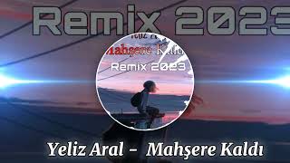 Yeliz Aral - Mahşere Kaldı 2023 Remix Resimi