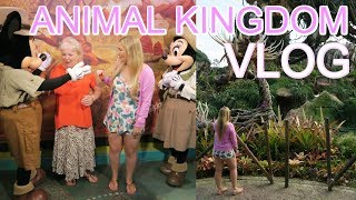 NOMAD LOUNGE BREAD SERVICE ANIMAL KINGDOM DISNEY WORLD VACATION VLOG Disney Dining Frances Alicia