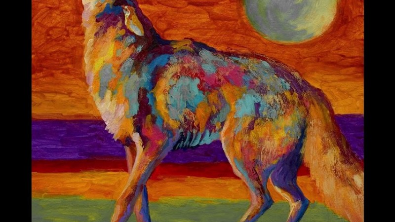 Coyote Mensajero  -Canto Medicina