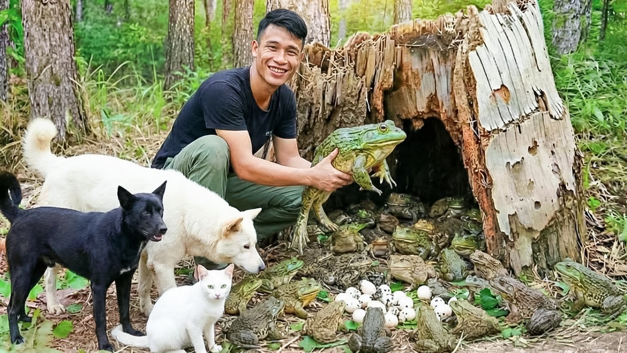 Catching 1000+ Frogs in the Forest | Farm Care & Cooking | Young CEO with Tom and Lu