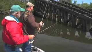 Secrets to Successful Tidal Bass Fishing