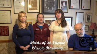 Miniatura de vídeo de "Fields of St.Etienne - Classic Harmony"
