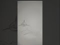 Speed drawing shark #drawing #shark