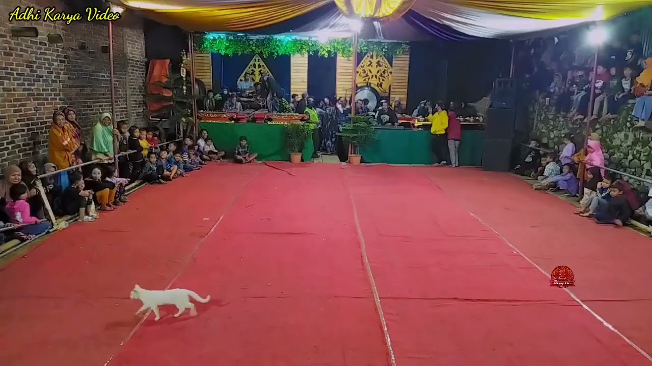 TOPENG IRENG TERBARU🔥PUTRI SUMBING TOMPAK GANDUREJO