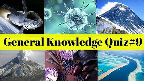 General Knowledge Quiz #9| 20 General Knowledge Questions and Answers|NewLearn