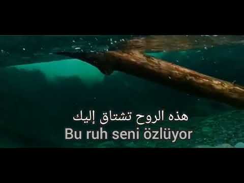 ترجمة أغنية هذه الروح للغة التركية عربي مترجم للتركي