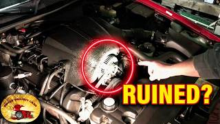 Will Tire Shine Engine Cleaning RUIN Your Alternator??