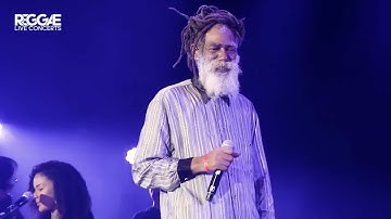 Don Carlos - Passing Glance LIVE in Rotterdam