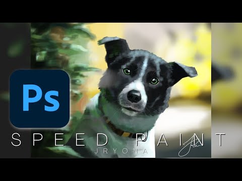 PHOTOSHOP | DOG