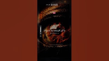 (ان الذين كفروا باياتنا سوف نصليهم نارا) 🥺 | #قرآن #تلاوة_خاشعة #راحة_نفسية #تابعوني #اكسبلور #لايك