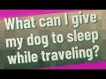 What can I give my dog to sleep while traveling?