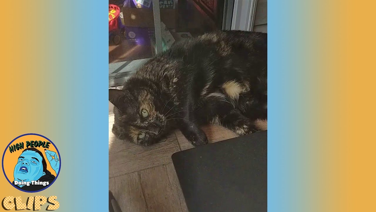 GIrl Uses Sun Glare to Light Cool Pipe | High People Doing Things Clips