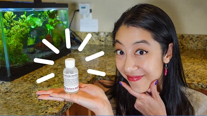 How to Cycle a Tank Without Fish | Part 1 Cycling Experiments