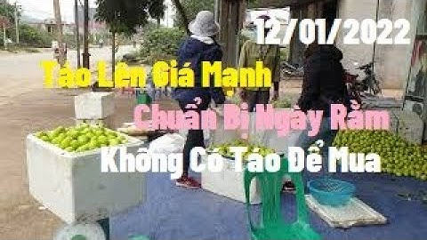 Giá Táo Ngày 12/1/2022 Lên Không có táo Mua, Chuẩn bị Ngày Rằm I Nui Doi Luc Ngan 98