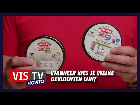 Video: Hoe Vis Te Kiezen?