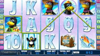 Penguin Vacation big win - Playtech slot game screenshot 3