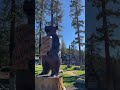 BIG BEAR CALIFORNIA