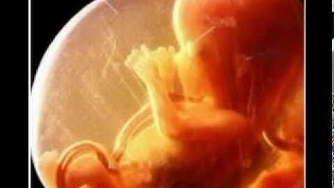 Psalm 139 (Wonderfully Made) by Danielle Rose