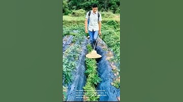 Ingenious farming tools: weed control