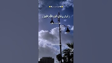 تلاوة قصيرة من #سورة_القلم  #اسلام_صبحي #الله #القرآن_الكريم #اكسبلور