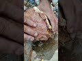 Good luck finding gold embedded in red stone🔨🔨⚒️⚒️#gold #puregold #goldbar #goldinvestment #luxury