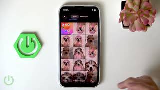 Как настроить внешний вид в Signal Messenger