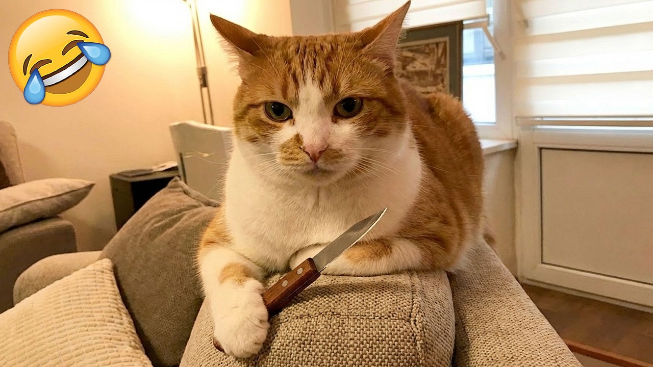 Смеешься — проигрываешь 😹 Самые смешные кошки и собаки 2026 😂🤣 Часть 3