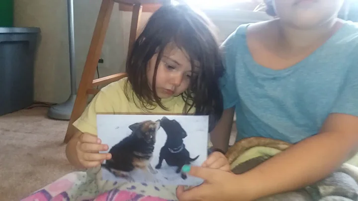 The loss of our beloved Family Dog RAVEN! CAMERON,...