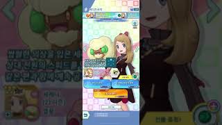 세레나21시즌 뽑기