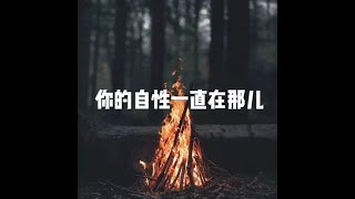 Full 201505 你的自性一直在那儿20066 Guide