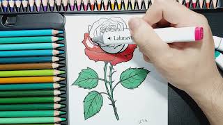 Rose Coloring Pages | Tutorial Coloring Rose