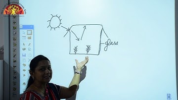 Class 5 Science Ch 14 Our Environment Part 1