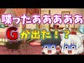 【ゆっくり茶番】紅魔館にゴキブリが出たらしい