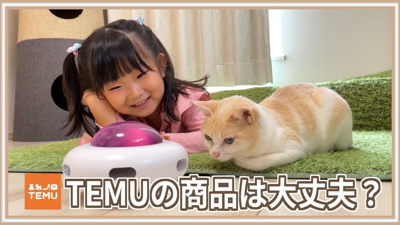 ネコ好きさんポイント無し　2000p使用 激安】怪しい通販サイト「TEMU」で猫グッズを買ったらカオスだった