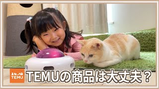 【激安】怪しい通販サイト「TEMU」で猫グッズを買ったらカオスだった