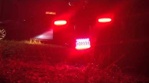 Custom Dynamics TrueFlex LED