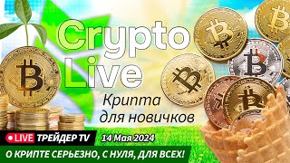 Крипта для чайников. Обучение новичков торговле криптовалют с нуля | Crypto Live TV