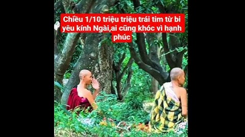 chiều 1/10 triệu triệu trái tim yêu kính Ngài.ai cũng khóc#suminhtue #shortvideo