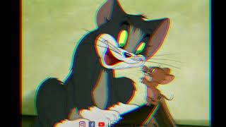 Taheri Trap Ft Tomand Jerry Sayed The General Taheri Song Tom And Jerry Version