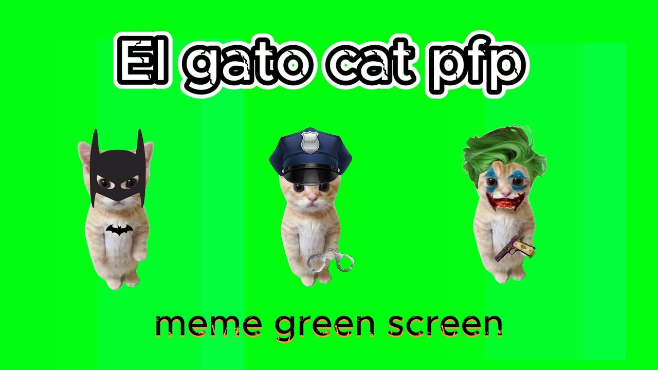 El gato cat meme pfp green screen ( 100% free to use ) #elgato 