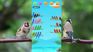 bird sort color puzzle game level 51 😂😂😂