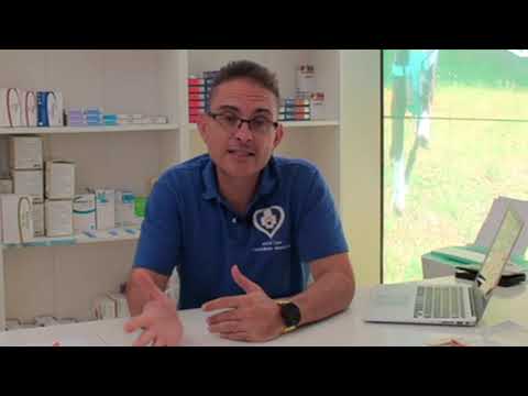 Video: Leishmania Braziliensis: Ciclo Vitale, Sintomi E Trattamento