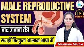 Male Reproductive System | नर जनन तंत्र | Male reproductive system Anatomy and physiology screenshot 3